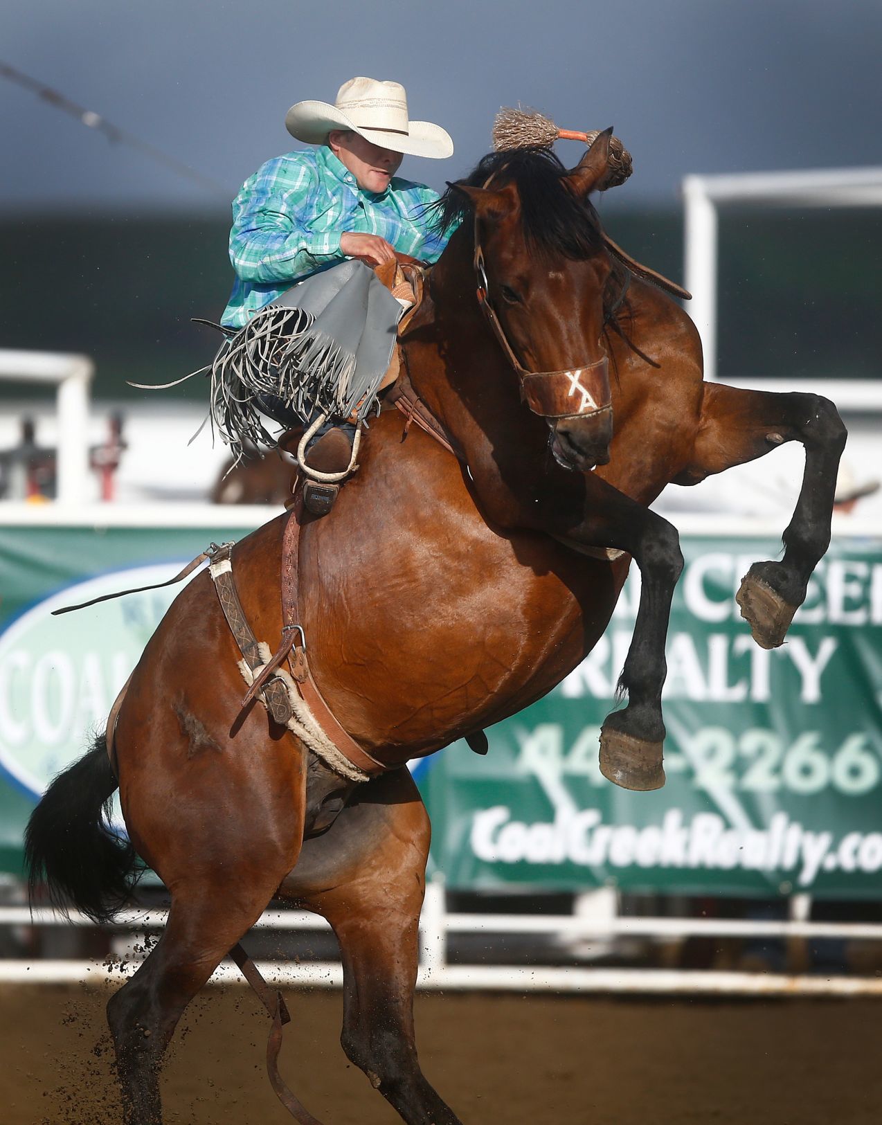 Home of Champions Rodeo
